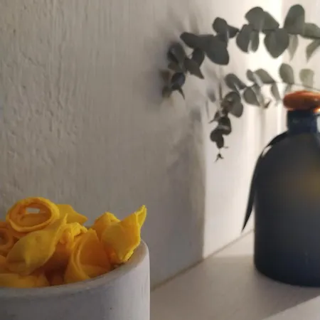 Appartement Centro Junior *