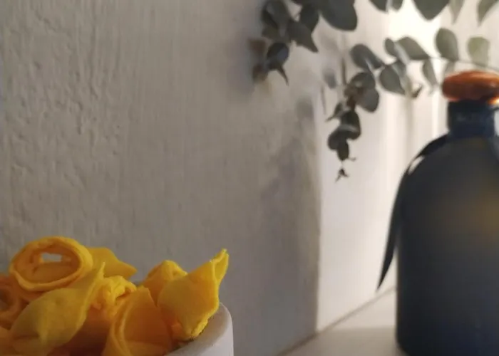 Apartamento Centro Junior *